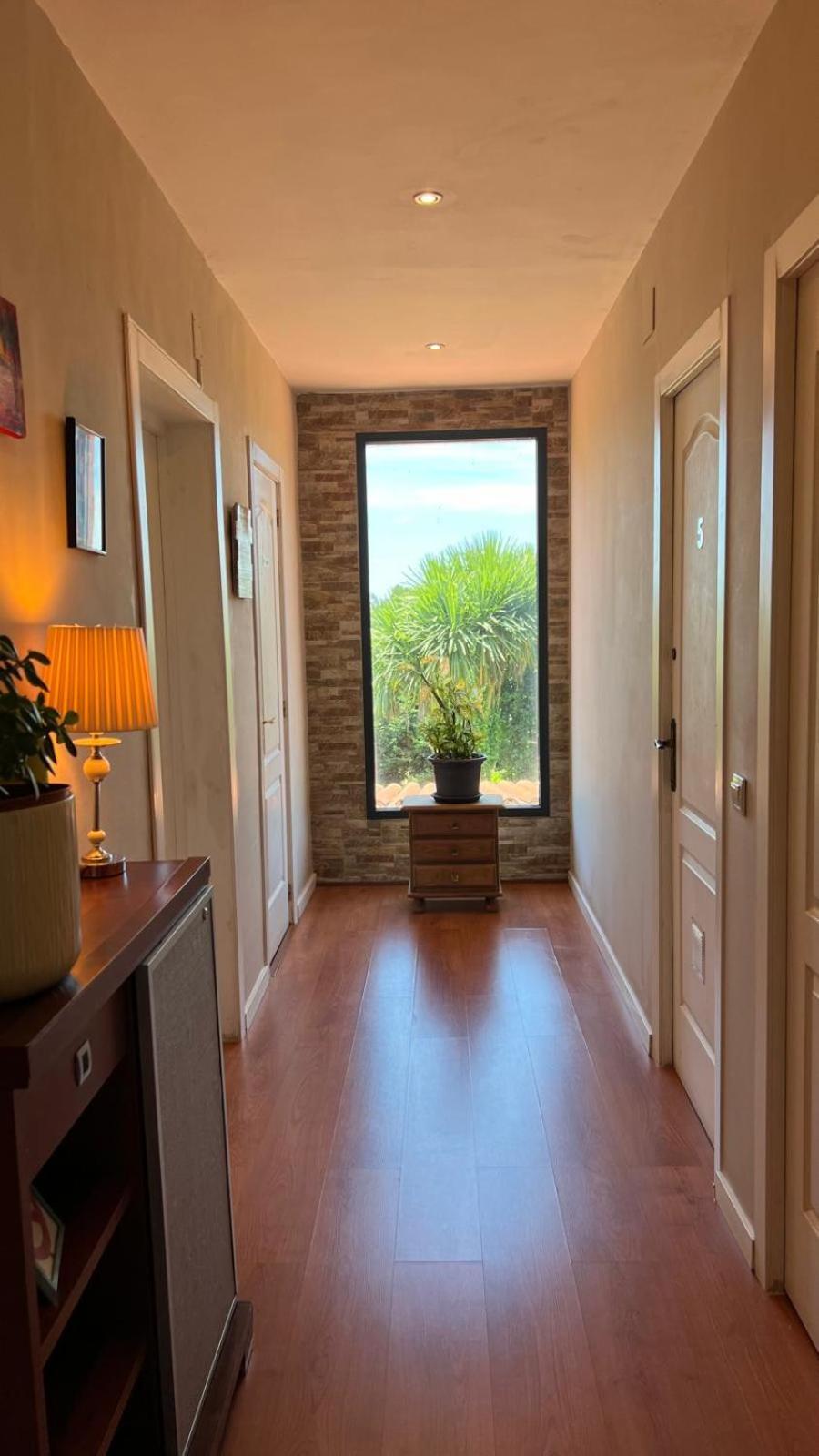 Twin Pines Camino Norte Arzúa Екстериор снимка